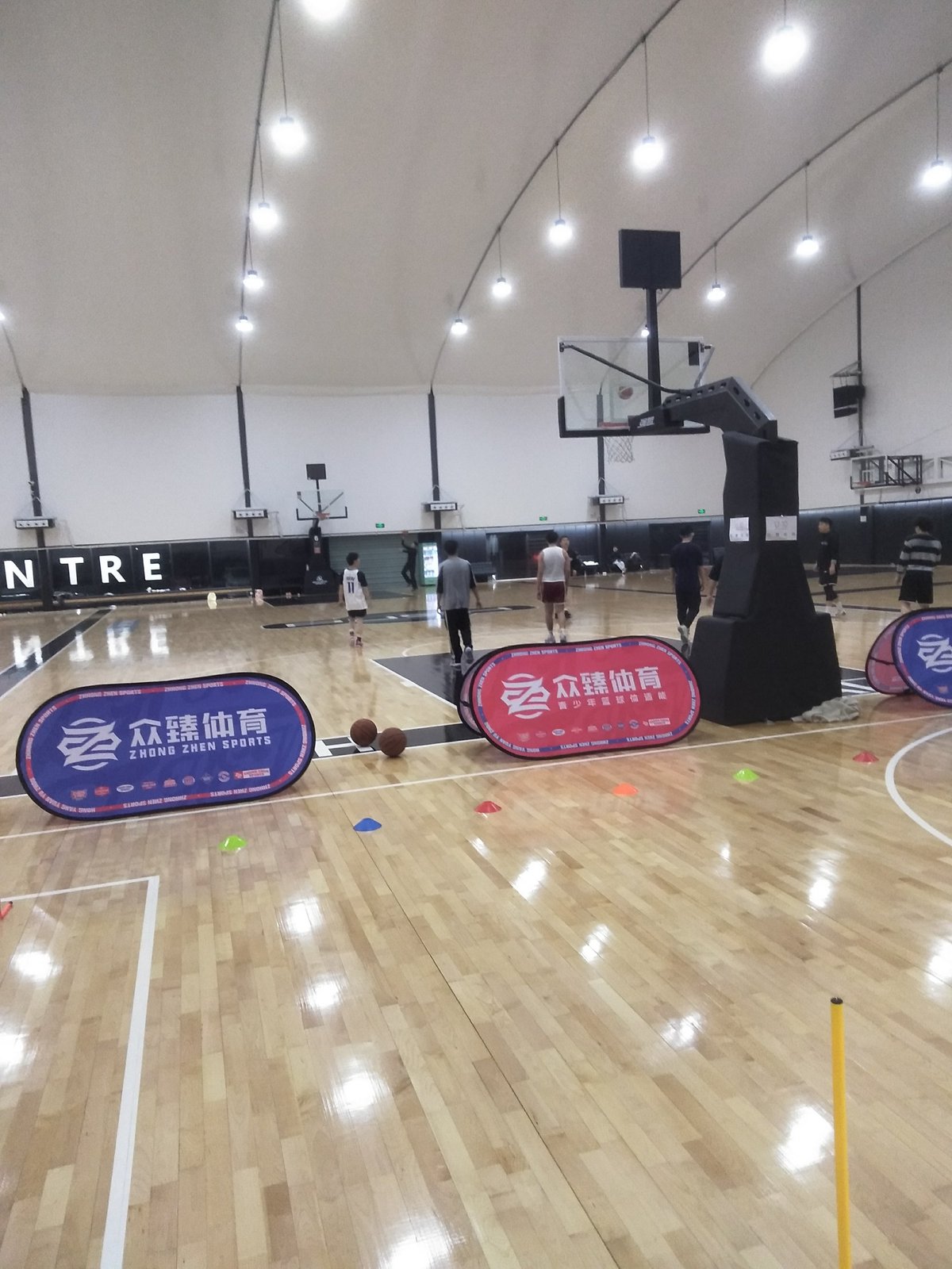 学生篮球主力如何平衡学业与训练_0